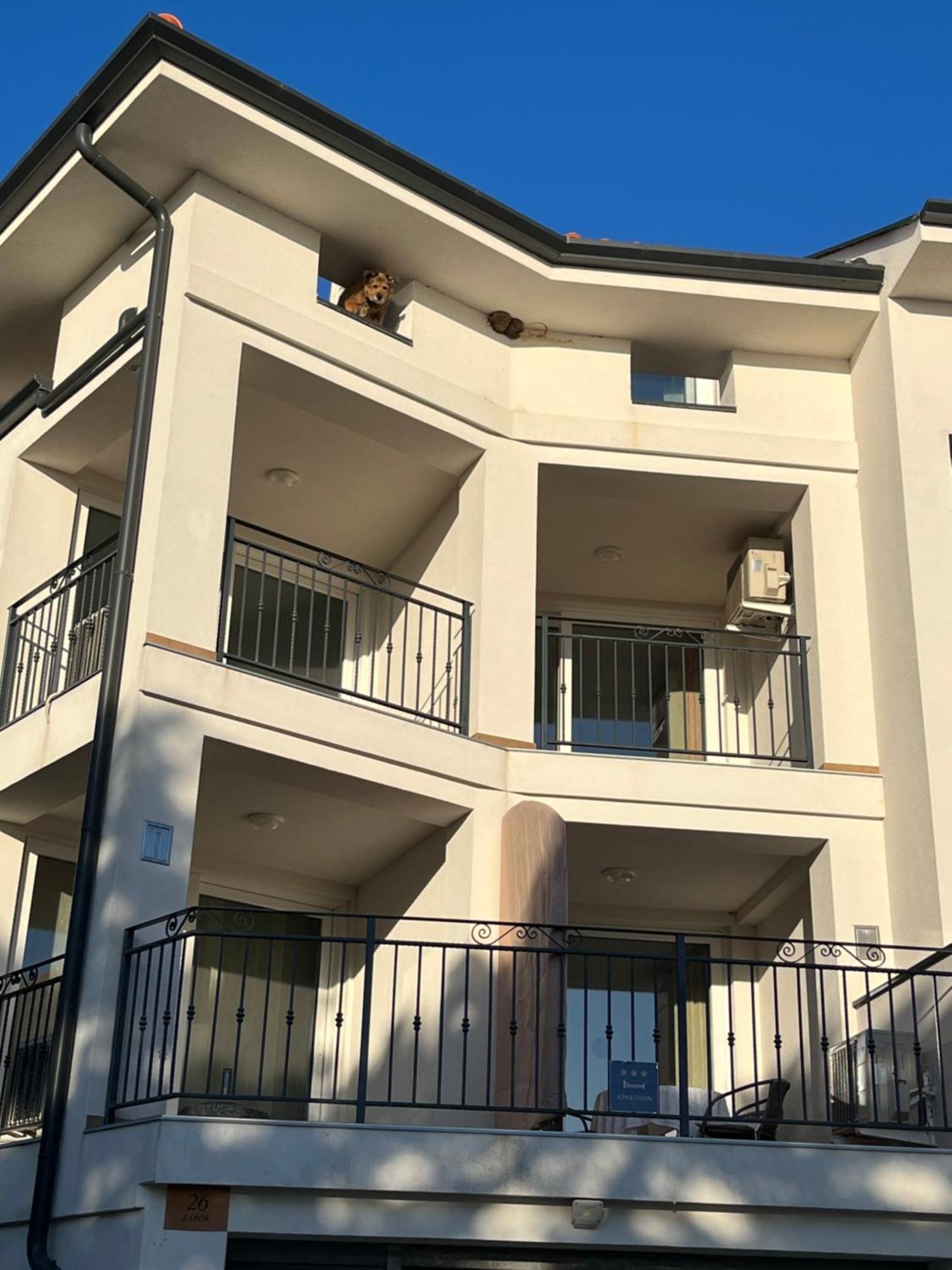 Apartments Amore Baska  Bagian luar foto