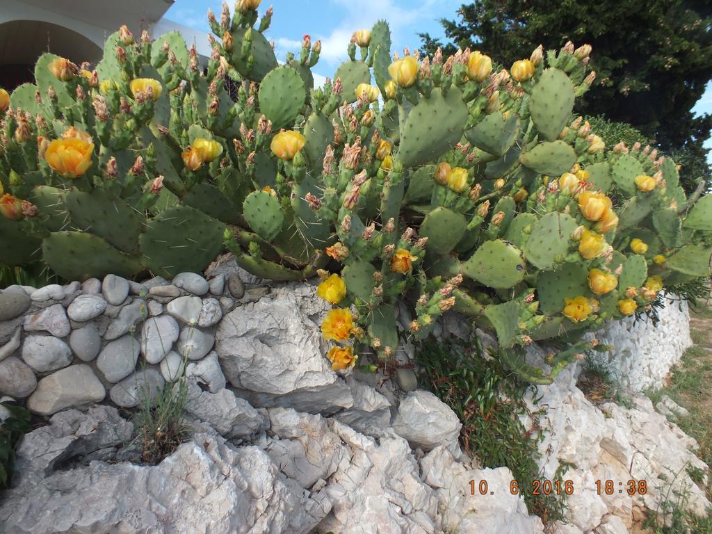 Apartments Amore Baska  Bagian luar foto